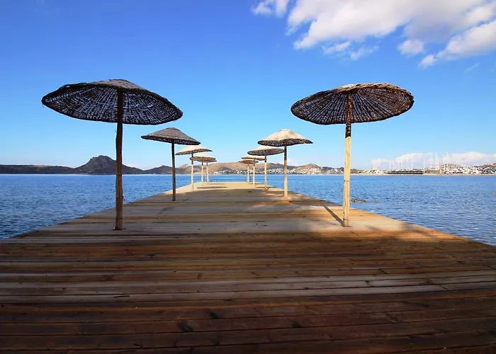 Casita Verdi Evleri Apartment